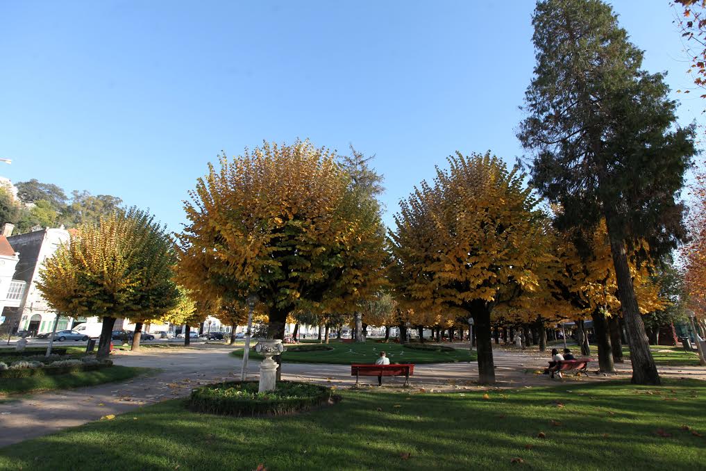 parque-manuel-braga