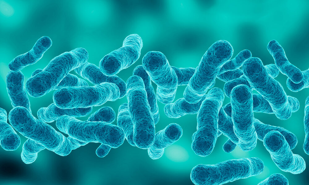 Análises detetam bactéria legionella em balneários de Estádio Universitário